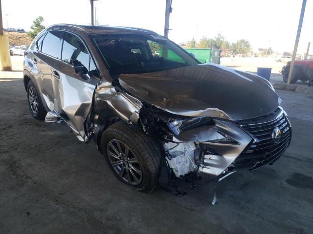 JTJYARBZ0J2****** - 2018 LEXUS NX 300 BAS 银色 照片 1