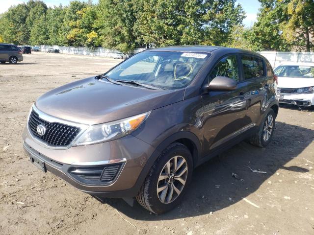 KNDPB3AC8E7560317 - 2014 KIA SPORTAGE B BROWN photo 2