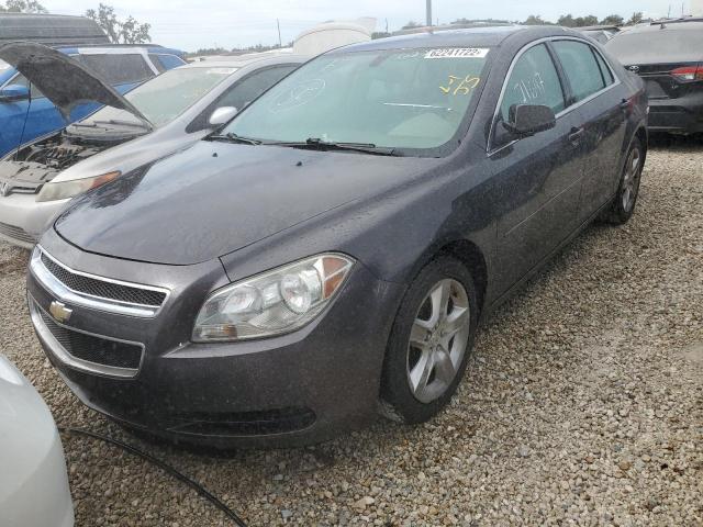 1G1ZA5EU7CF395625 - 2012 CHEVROLET MALIBU LS CHARCOAL photo 2