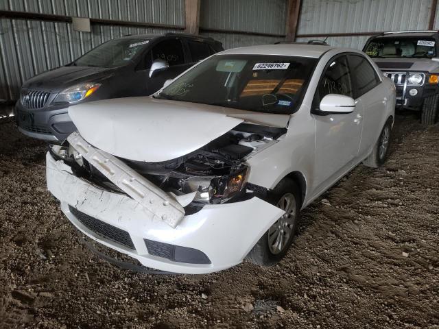 KNAFU4A24C5644207 - 2012 KIA FORTE EX WHITE photo 2