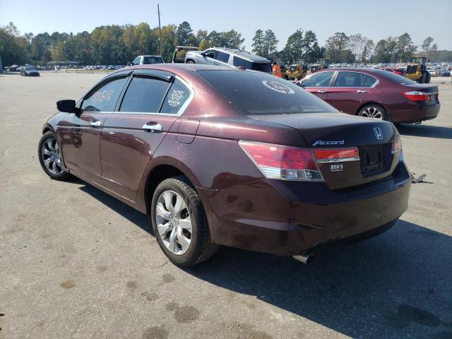 5KBCP3F89AB018444 - 2010 HONDA ACCORD EXL BURGUNDY photo 3