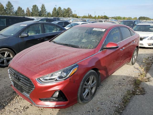 5NPE34AF6KH773908 - 2019 HYUNDAI SONATA LIM RED photo 2