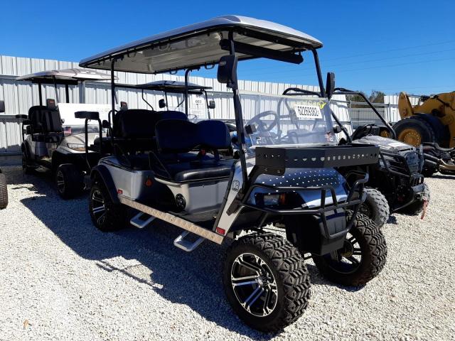 FLA108863 - 2019 OTHR GOLF CART SILVER photo 1