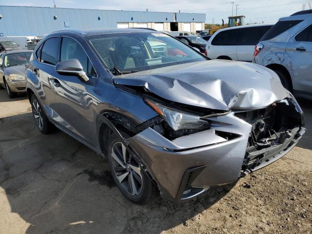 JTJBJRBZ7K2101305 - 2019 LEXUS NX 300H SILVER photo 1