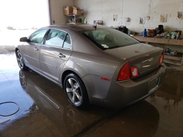1G1ZC5E12BF157695 - 2011 CHEVROLET MALIBU 1LT ბეჟი ფოტო 3