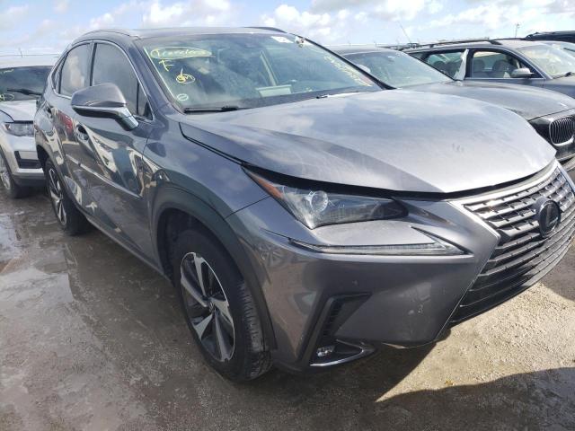 JTJYARBZ2K2127899 - 2019 LEXUS NX 300 BAS GRAY photo 1