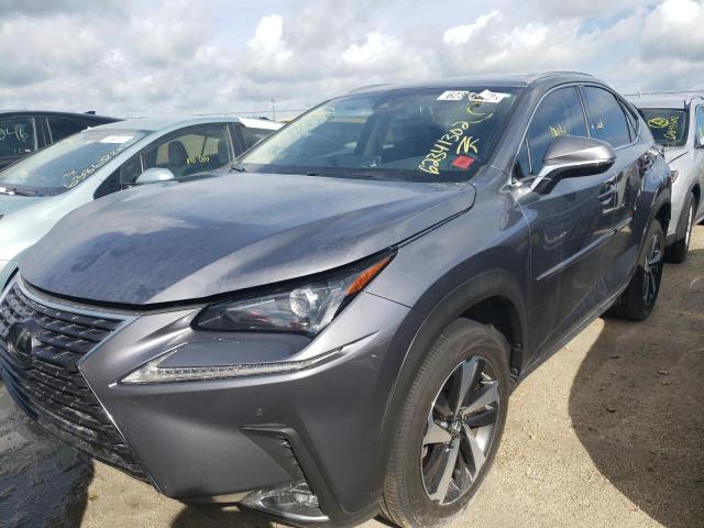 JTJYARBZ2K2127899 - 2019 LEXUS NX 300 BAS GRAY photo 2