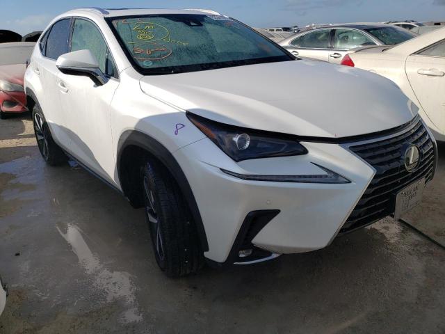 JTJGARBZ0M5024557 - 2021 LEXUS NX 300 BAS WHITE photo 1