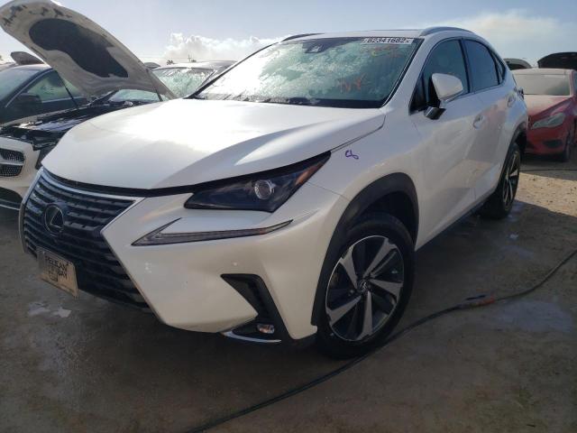 JTJGARBZ0M5024557 - 2021 LEXUS NX 300 BAS WHITE photo 2