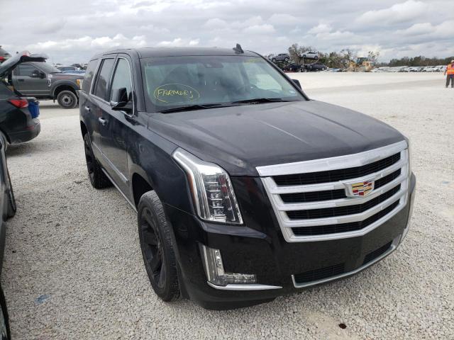 1GYS4CKJ5KR155365 - 2019 CADILLAC ESCALADE P BLACK photo 1