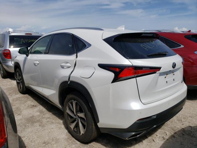 JTJYARBZXJ2115451 - 2018 LEXUS NX 300 BAS WHITE photo 3