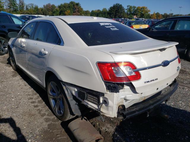 1FAHP2KT0AG108392 - 2010 FORD TAURUS SHO WHITE photo 3