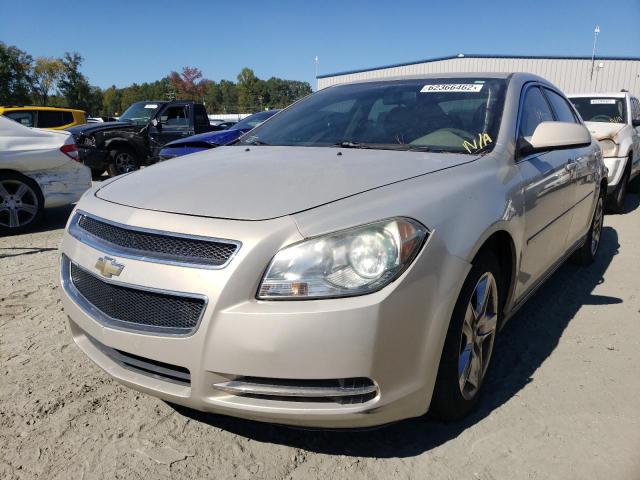 1G1ZC5E05AF126656 - 2010 CHEVROLET MALIBU 1LT 金色 照片 2