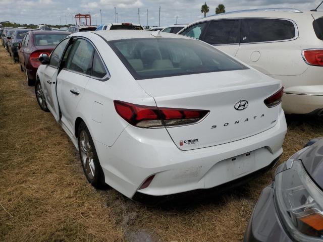 5NPE34AF4KH764219 - 2019 HYUNDAI SONATA LIM WHITE photo 3