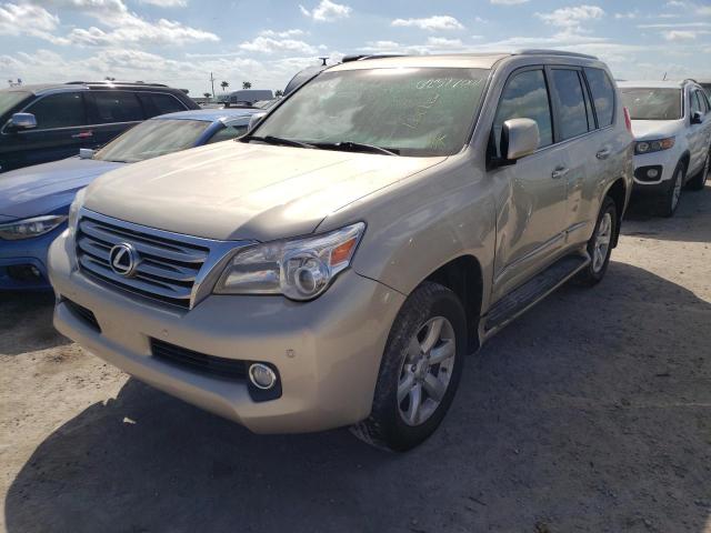 JTJBM7FX7D5059689 - 2013 LEXUS GX 460 GOLD photo 2