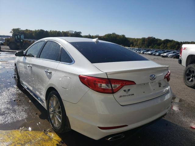 5NPE34AF5FH231057 - 2015 HYUNDAI SONATA SPO WHITE photo 3