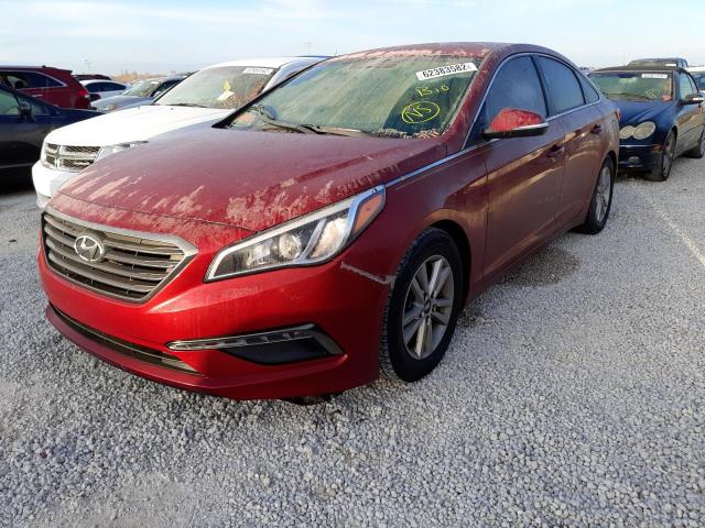 5NPE24AA5FH134304 - 2015 HYUNDAI SONATA ECO MAROON photo 2