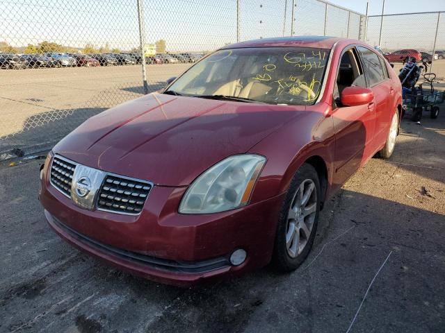 1N4BA41E76C843438 - 2006 NISSAN MAXIMA MAROON photo 2