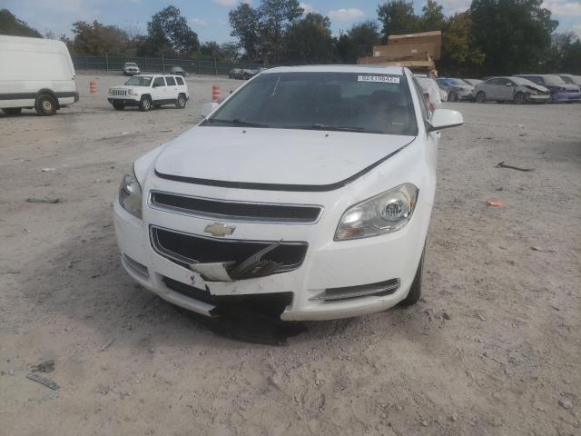 1G1ZC5E09AF244225 - 2010 CHEVROLET MALIBU 1LT 白色 照片 9