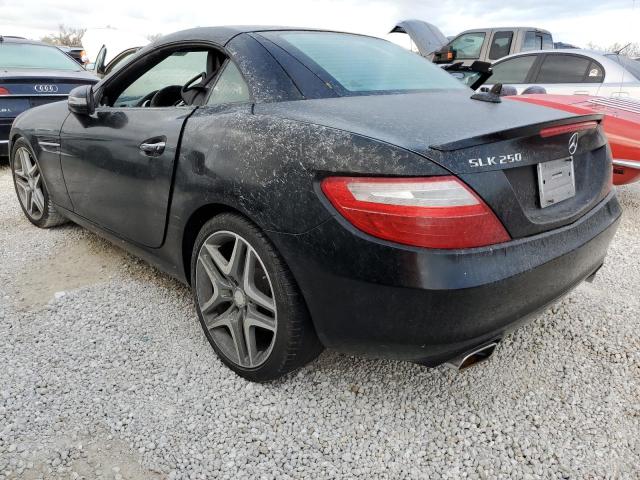 WDDPK4HA6FF112276 - 2015 MERCEDES-BENZ SLK 250 BLACK photo 3