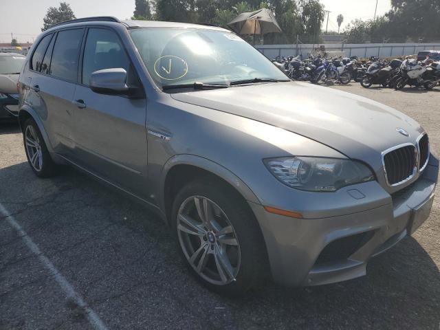 5YMGY0C5XCLK27902 - 2012 BMW X5 M SILVER photo 1