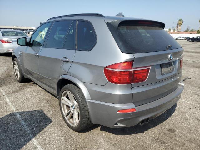 5YMGY0C5XCLK27902 - 2012 BMW X5 M SILVER photo 3