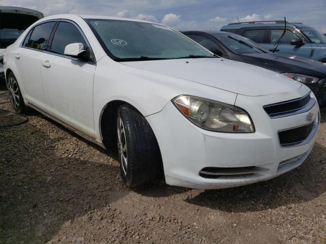 1G1ZC5E0XAF235680 - 2010 CHEVROLET MALIBU 1LT 白色 照片 1