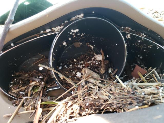 1G1ZE5E17BF122502 - 2011 CHEVROLET MALIBU LTZ თაფლისფერი ფოტო 8