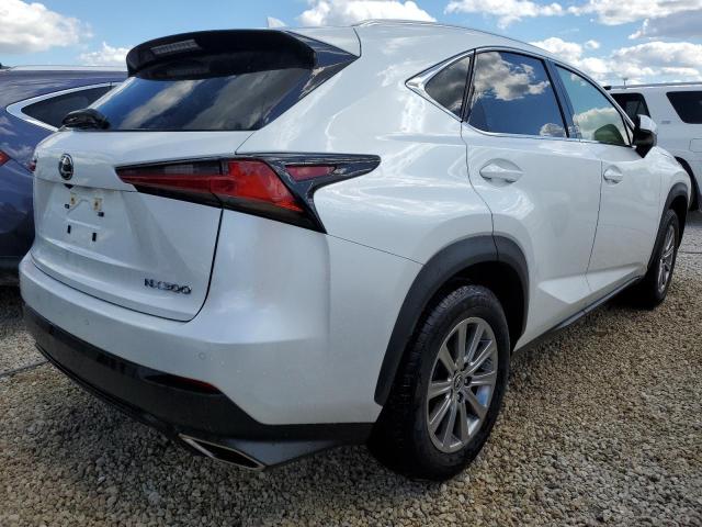 JTJDARDZ7M5031733 - 2021 LEXUS NX 300 BAS 白色 照片 4