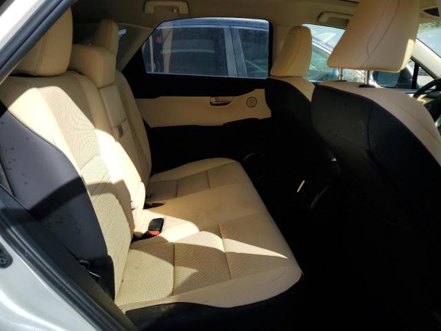 JTJDARDZ7M5031733 - 2021 LEXUS NX 300 BAS 白色 照片 6