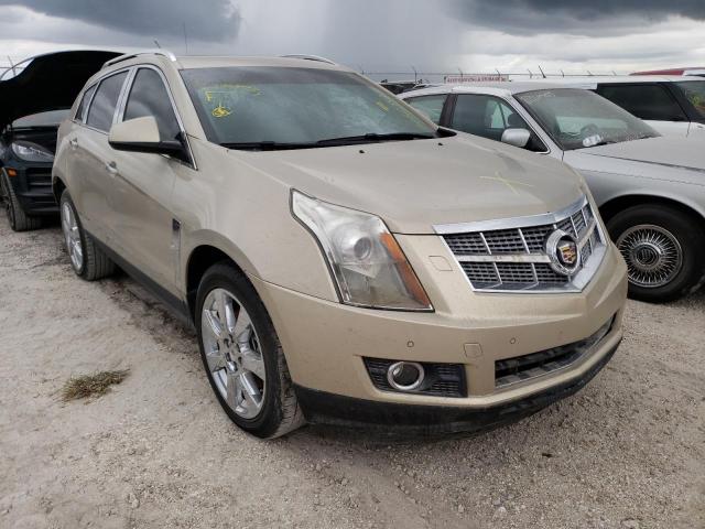 3GYFNBEYXBS510335 - 2011 CADILLAC SRX PERFOR ოქროსფერი ფოტო 1
