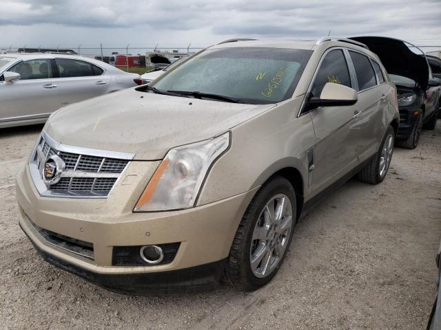 3GYFNBEYXBS510335 - 2011 CADILLAC SRX PERFOR ოქროსფერი ფოტო 2