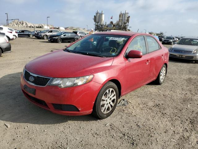 KNAFU4A20D5704663 - 2013 KIA FORTE EX RED photo 2