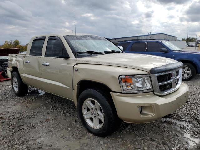 1D7RW3GP3BS628092 - 2011 DODGE DAKOTA SLT GOLD photo 1