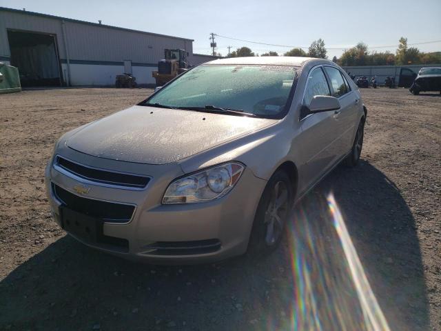 1G1ZC5EU4BF136325 - 2011 CHEVROLET MALIBU 1LT 金色 照片 2