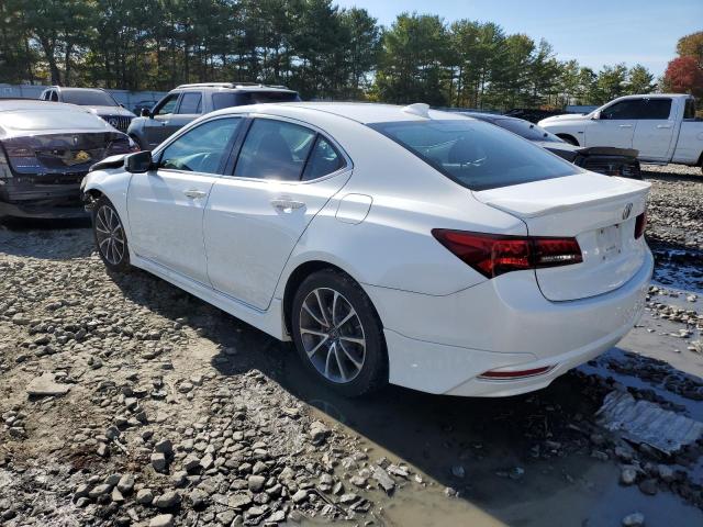 19UUB2F53GA000560 - 2016 ACURA TLX TECH WHITE photo 3