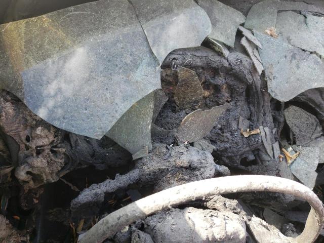 2G2WC55C781164187 - 2008 PONTIAC GRAND PRIX გრაფიტი ფოტო 8