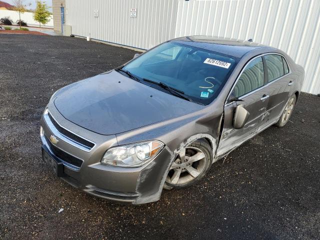 1G1ZC5E0XCF198469 - 2012 CHEVROLET MALIBU 1LT 棕色 照片 2