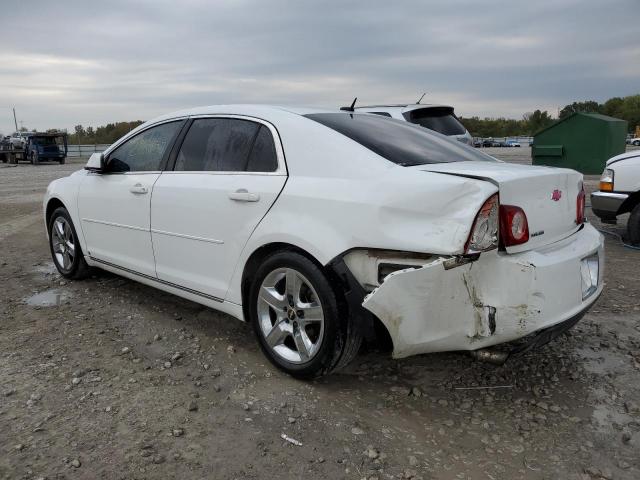 1G1ZH57B29F255126 - 2009 CHEVROLET MALIBU 1LT Weiß Foto 3