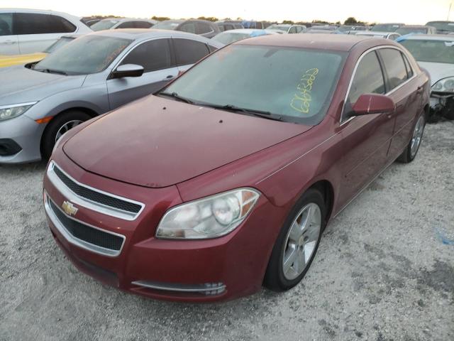 1G1ZC5E14BF297182 - 2011 CHEVROLET MALIBU 1LT 勃艮第红 照片 2