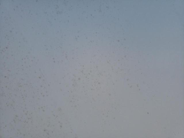 4YDF29025BE760115 - 2011 KEYSTONE AVALANCHE თეთრი ფოტო 8