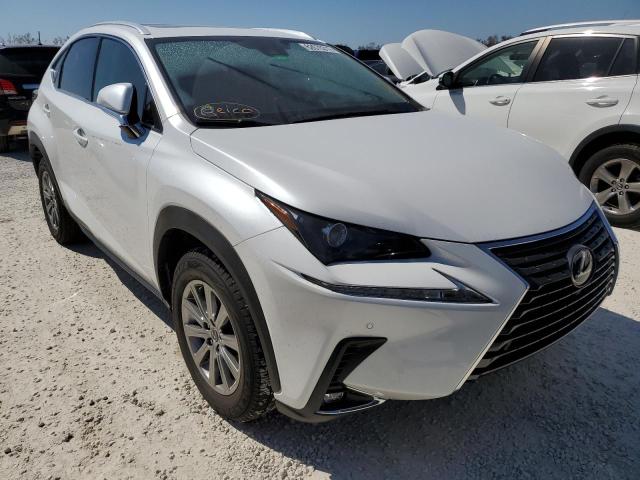 JTJDARBZ6M5024985 - 2021 LEXUS NX 300 BAS WHITE photo 1