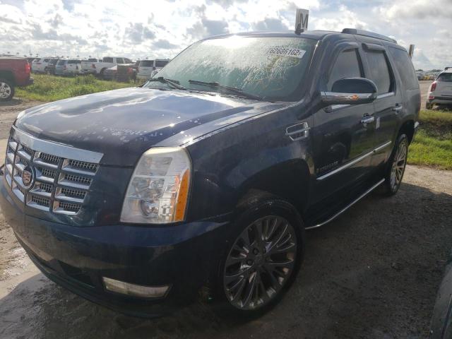 1GYFK53269R117664 - 2009 CADILLAC ESCALADE S BLUE photo 2