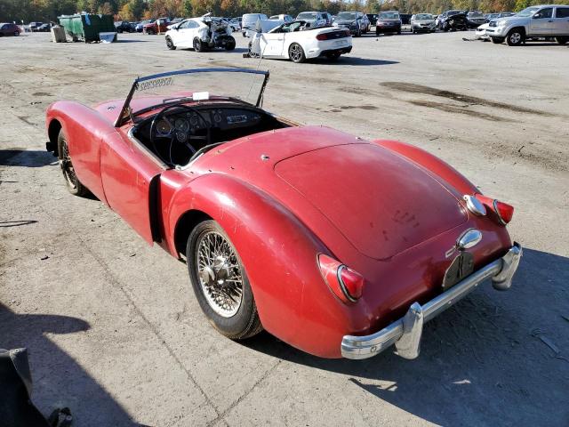 HDK4318767 - 1956 MG MIDGET RED photo 3