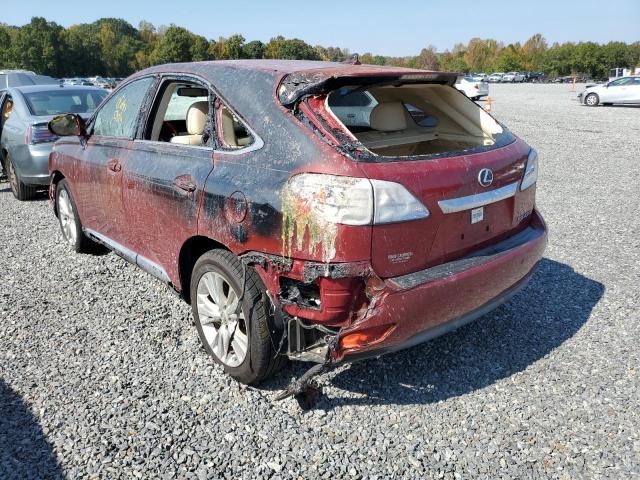 JTJZB1BA9B2004775 - 2011 LEXUS RX 450 BURGUNDY photo 3