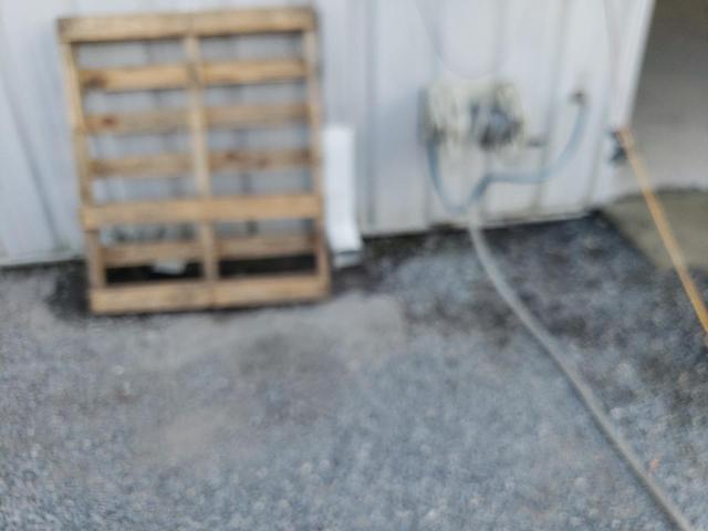 19XFC1F74LE017696 - 2020 HONDA CIVIC EXL Boz foto 9