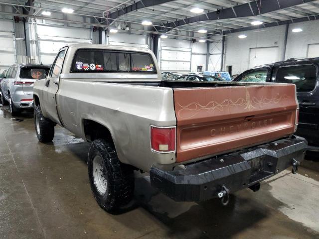 1A029773 - 1975 CHEVROLET SILVERADO2 SILVER photo 3