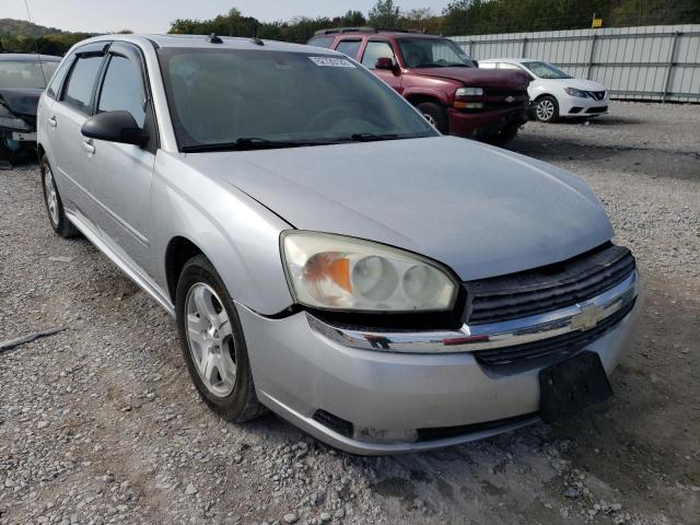 1G1ZU64854F231406 - 2004 CHEVROLET MALIBU MAX 银色 照片 1