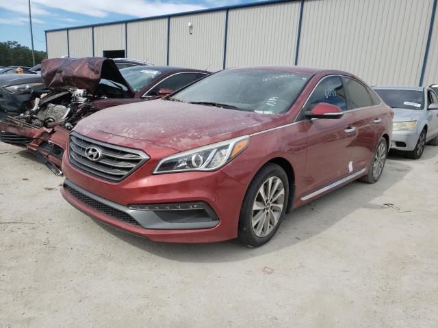 5NPE34AF0GH390523 - 2016 HYUNDAI SONATA SPO MAROON photo 2