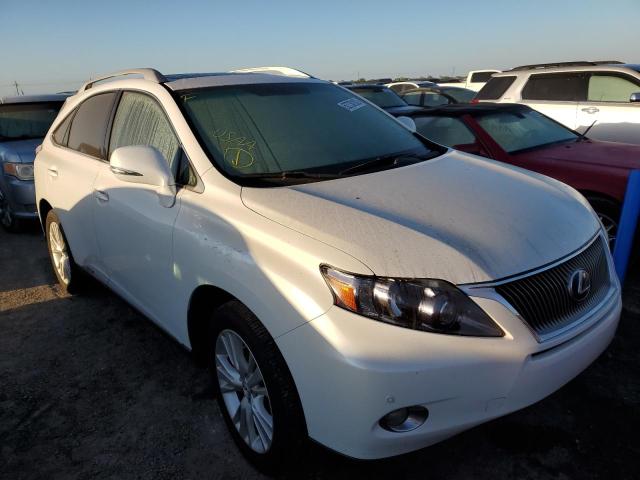 JTJBC1BA9A2414392 - 2010 LEXUS RX 450 WHITE photo 1